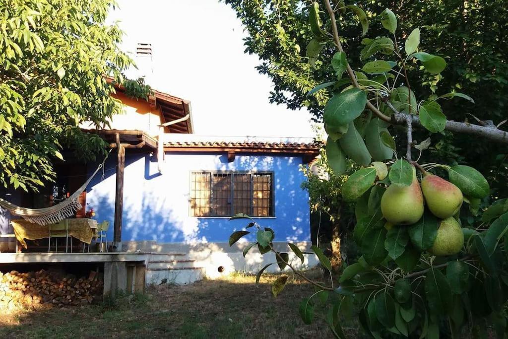 Вілла Country House Tra Lago E Mare A Sud Di Roma Campoleone Екстер'єр фото